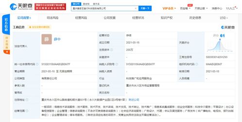 愛奇藝在重慶成立科技公司，拓展創業空間與信息系統集成服務